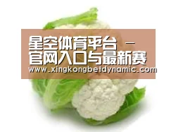 产品名称九