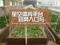 环境展示五