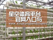 环境展示六