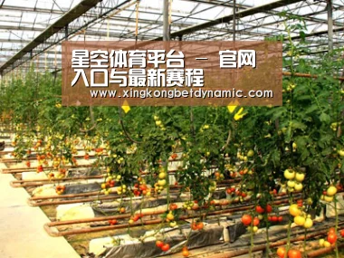 种植基地二(图1)
