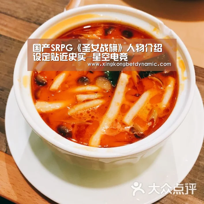 国产SRPG《圣女战旗》人物介绍 设定贴近史实-星空电竞(图2) 星空下载