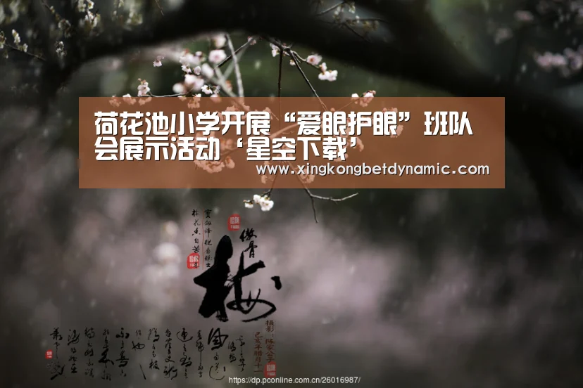 荷花池小学开展“爱眼护眼”班队会展示活动‘星空下载’(图1) 星空娱乐