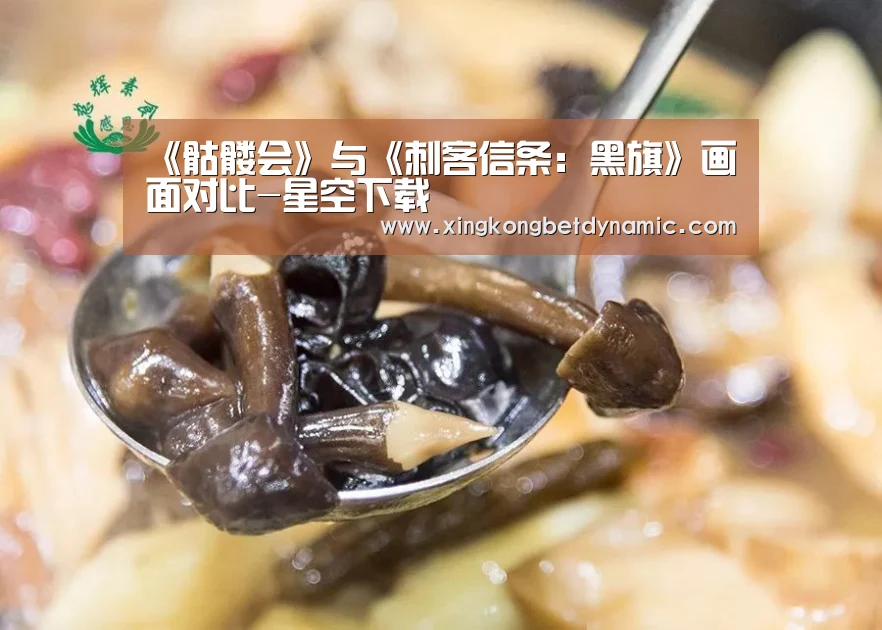 《骷髅会》与《刺客信条:黑旗》画面对比-星空下载(图2) 星空娱乐