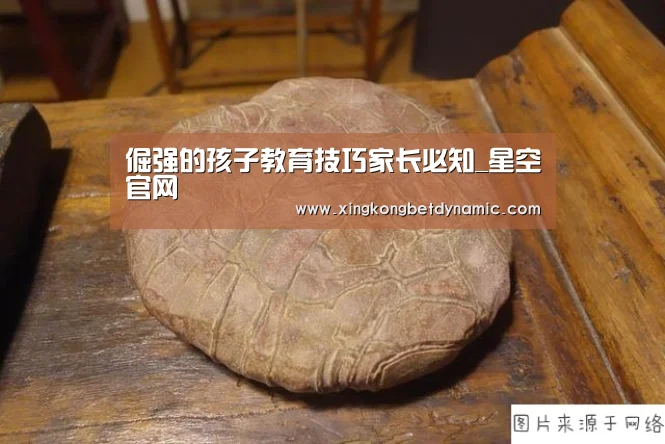 倔强的孩子教育技巧家长必知_星空官网(图3) 星空官网