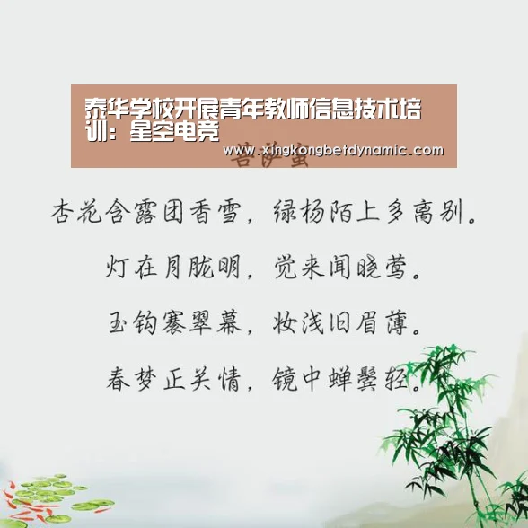 泰华学校开展青年教师信息技术培训:星空电竞(图2) 星空电竞