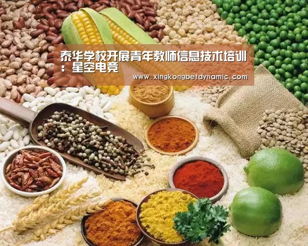 泰华学校开展青年教师信息技术培训:星空电竞(图1) 星空官网